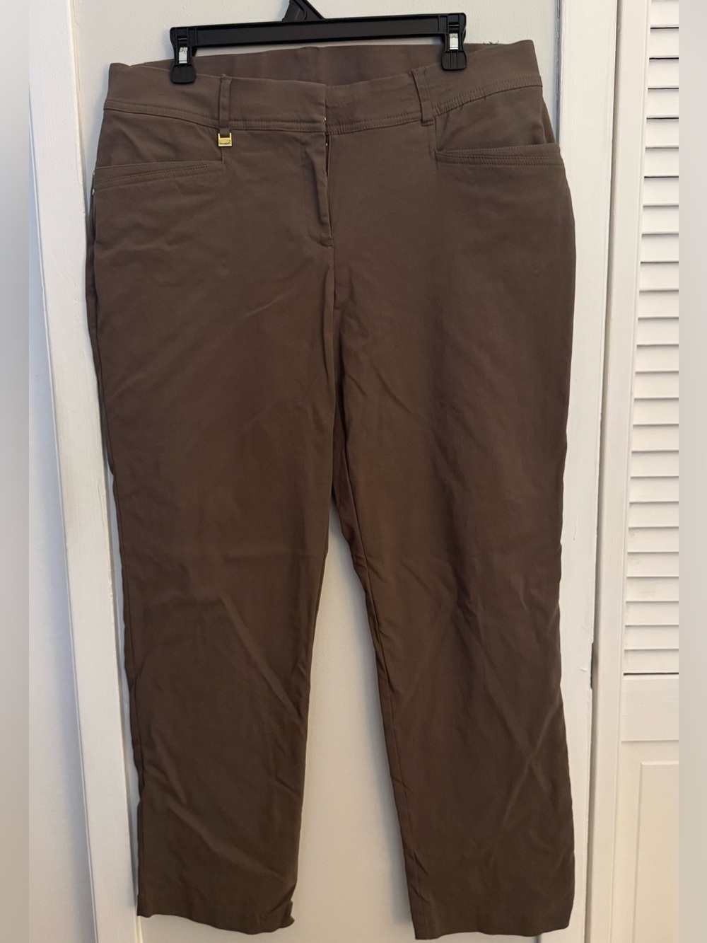 JM Collection Petite Brown Pull-On Ankle Pants Women’s Size 14P Stretch